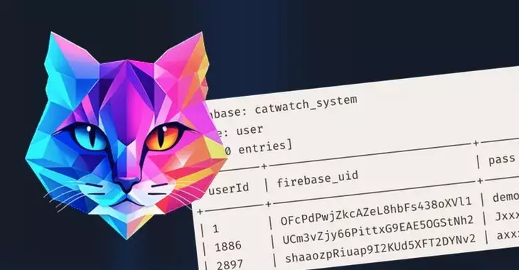 Catwatchful stalkerware app spills secrets of 62,000 users - including its own admins