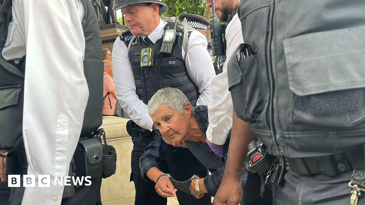 A woman being handcuffed and dragged away by police at protests in support of Palestine Action 