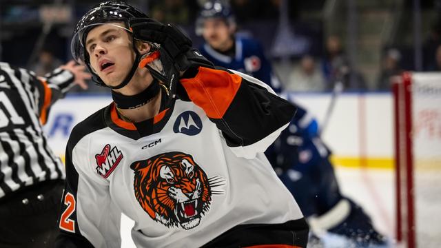 Un hockeyeur célèbre son but.