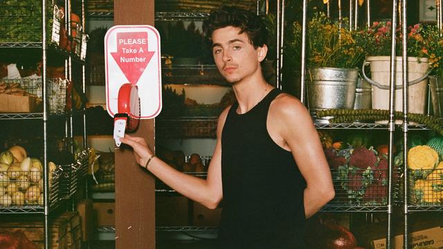 Timothee Chalamet appears in a campaign for financial services partnership Cash App.