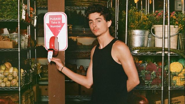 Timothee-Chalamet-Cash-App