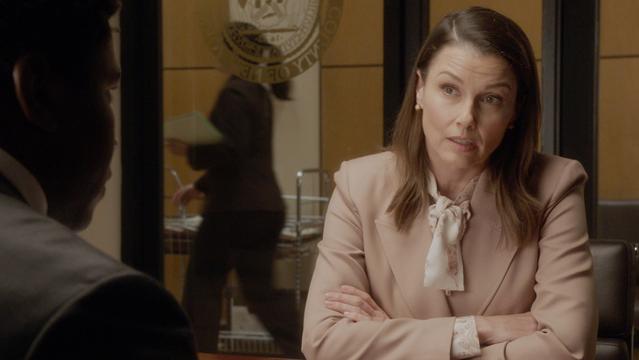 Blue Bloods, Bridget Moynahan as Erin Reagan Boyle
