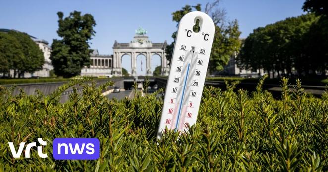 Tweede hittegolf van het jaar is officieel een feit, maar wat zegt de term "hittegolf" over warme zomers? | VRT NWS: nieuws