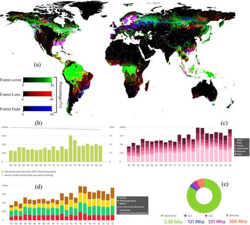 Les forêts mondiales stockent une vaste richesse carbone, mais les systèmes de crédit sous-évaluent leur véritable potentiel, découvre l'étude  