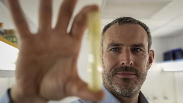 Francois Ribalet, a research associate professor at the University of Washington's School of Oceanography, holds a vial of Prochlorococcus on Friday, Sept. 5, 2025, in Seattle. (AP Photo/Annika Hammerschlag)