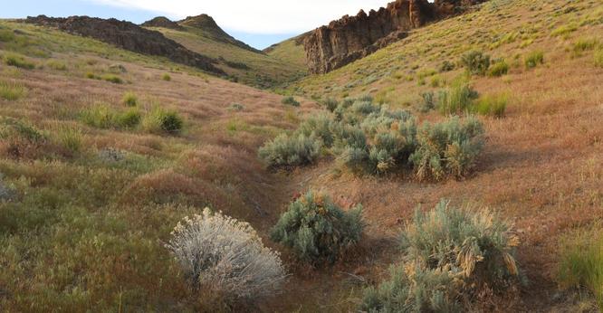 Thacker Pass, lithium mine, battery supply chain, Nevada