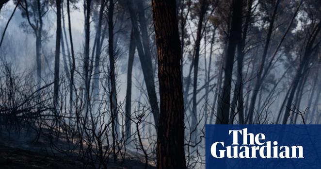 Wildfires in southern Spain kill 12 amid soaring temperatures  #Spain #Wildfires #Europe #ExtremeWeather