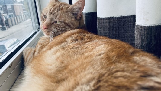 George