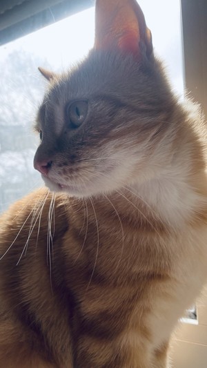 <3