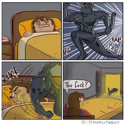 Hooman sleeping at night. Cat comes running in like some sort of hero, slaps you in the face and runs away! 

Glory to cats! 

MAP LAP TAC The freck? DE PARA LUNANXIV
