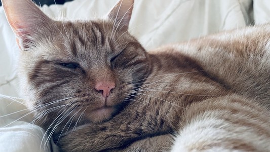 George!