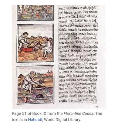 Image from The Florentine Codex