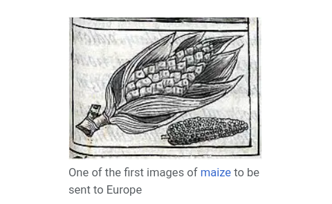 Image from The Florentine Codex