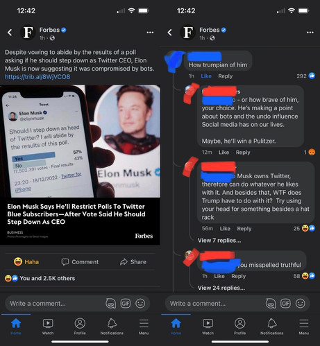 A fan response to an article from Forbes saying that Slon will restrict polls to Twitter Blue subscribers after he lost the vote to be CEO.

One replied to a comment that said "How Trumpian of him".

With a badly capitalised post: "or how brave of him, your choice. He's making a point about bots and the undo (sic) influence Social media has on our lives. Maybe, he'll win a Pulitzer".