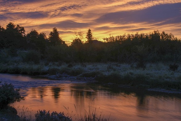 Photo of sunrise at Moraine Park in Rocky Mountain National Park. A small creek in foreground reflects the yellow and orange and red light of the sunrise, with trees in silhouette across the middle of the picture.