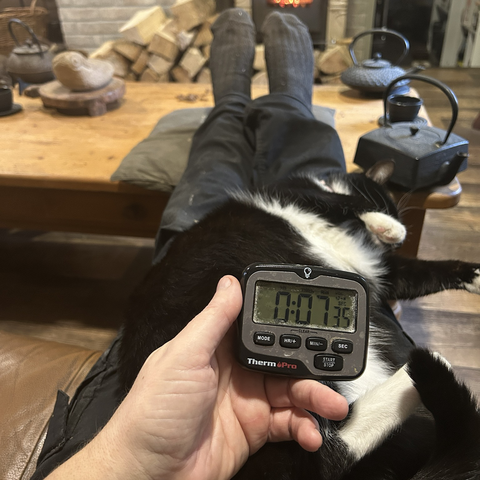 The kitchen alarm will go off in 7 minutes and 35 seconds: then the cat will be delapped again, for reasons of pie.