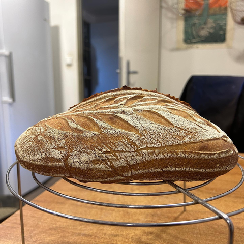 The freshly baked sourdough bread seen from the side. Not a completely even rise but good enough.