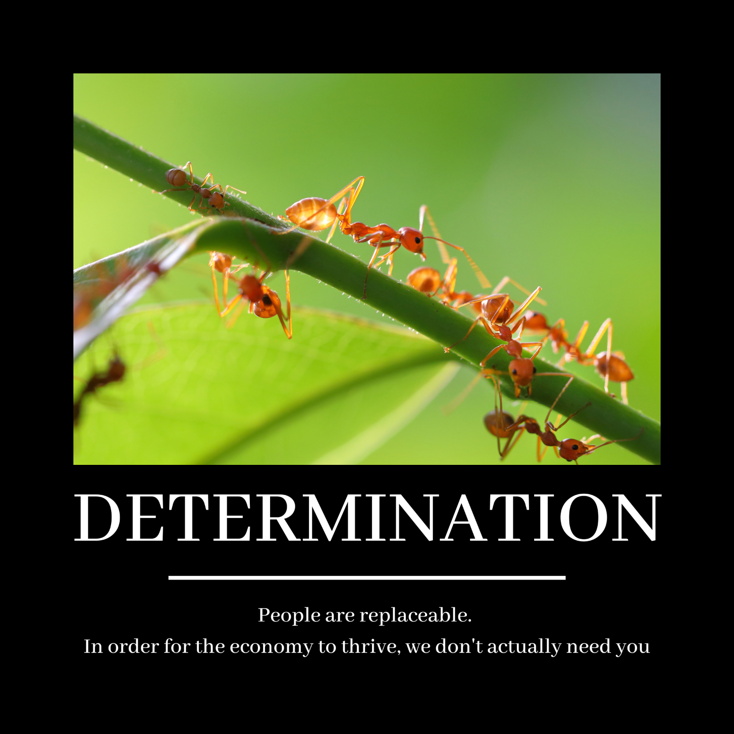 Melville House (MelvilleHouseBooksmstdn.social) Mastodon 🐘