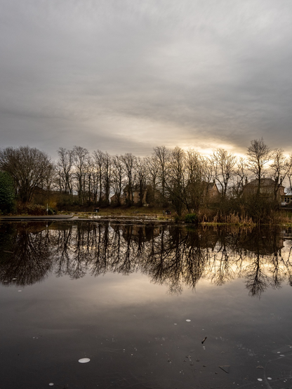 Big pond reflecting the sky and some houses. Still water