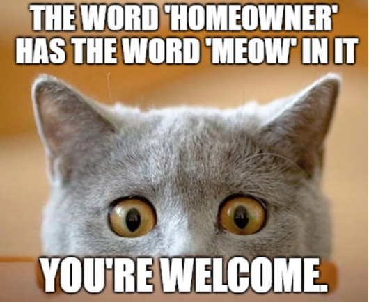 The word homeowner has the word ‘meow’ in it!