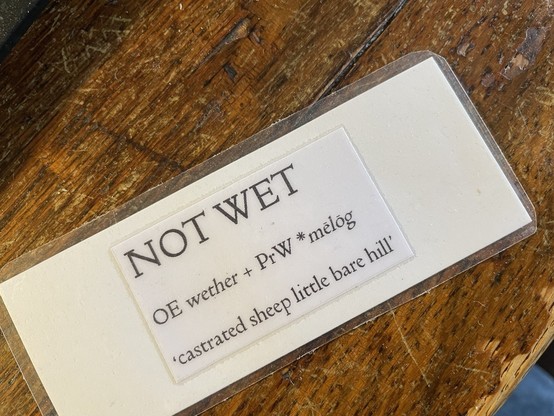 Small white laminated card: NOT WET OE wether + PrW *mēlōg ‘castrated sheep little bare hill’