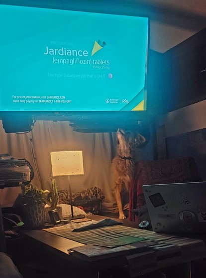 Same blonde dog standing up on the RV dashboard barking at the back of a television set to try and get to the border collie that was in a television advertisement