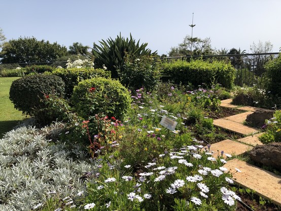 Flowers in bloom in the sunshine, with a lawn to the left, path to the right and the Atlantic Ocean in the background.