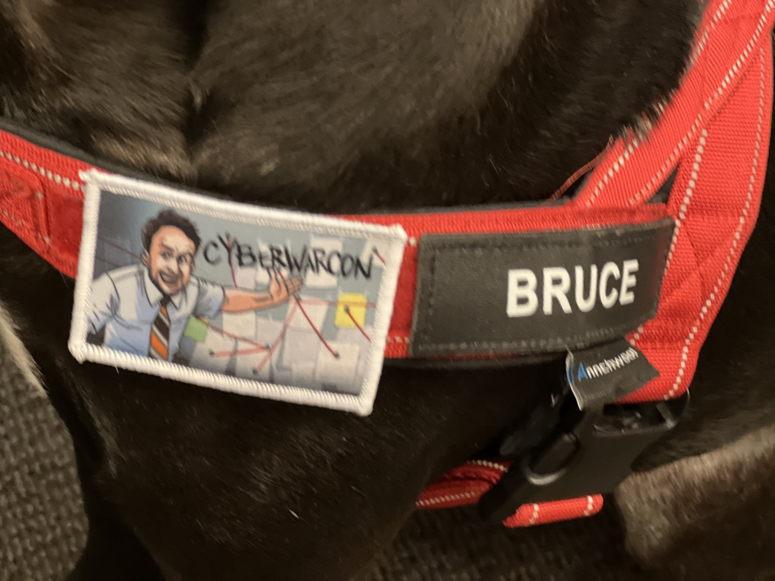 Posted media