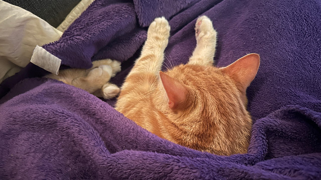 Sleepy Washy