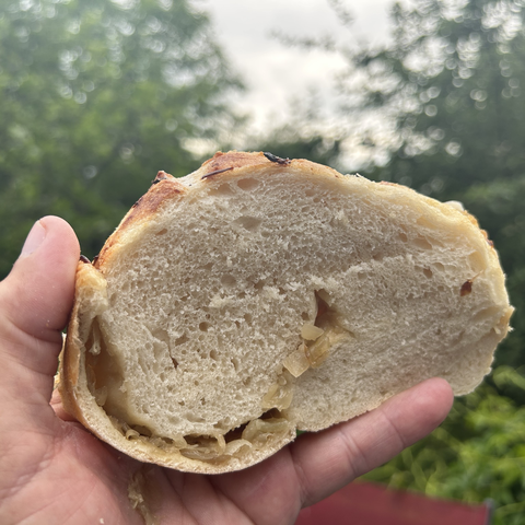 One slice of bread held up in my hand. The crumb is nicely airy but the way I added the onion (at a very late stage) means they're not evenly spread. I flattened the dough, then made a layer of onion and then folded the dough; so now the onion is in a kind of spiral along the bottom of the bread, and one seam going up halfway up the bread, through the middle. Still, the bread tasted wonderful. 