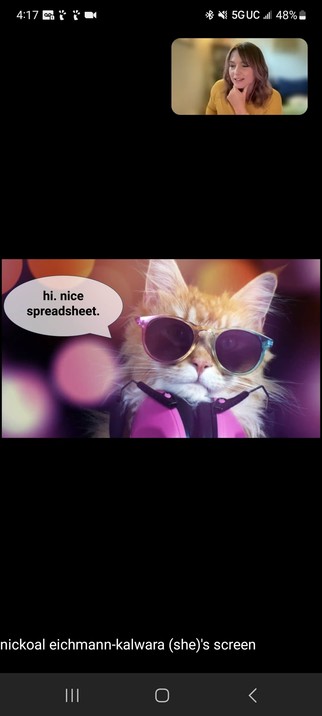 Cat in cool glasses saying *hi nice spreadsheet "