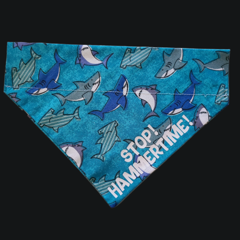 Bowie the Saint Bernard sitting in the sun in front of blue hydrangeas modeling her great white shark bandana that says "Don't Bother Me, It's Shark Week!"