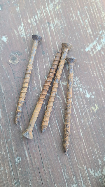 Four screws covered in orange rust and a few non-rusting bits.