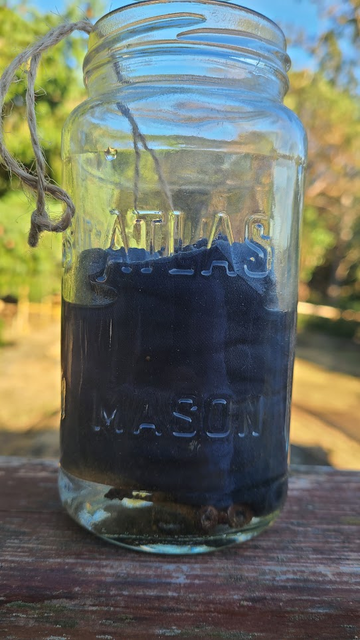 A glass jar.  The screws are visible through the clear water at the bottom and the bag of bark fills it a little over half way. Water fills the jar almost to the top of the bag.