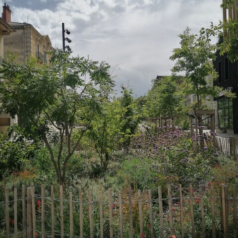 Ein Staudengarten mit Staketenzaun. 