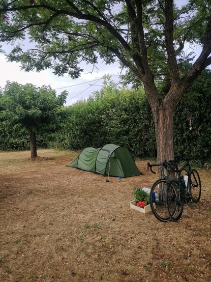Ein nasses Tunnelzelt auf sommerbrauner Wiese unter Bäumen und Hecken, eine Holzkiste mit Basilikum und Tomaten, zwei Gravelräder. 