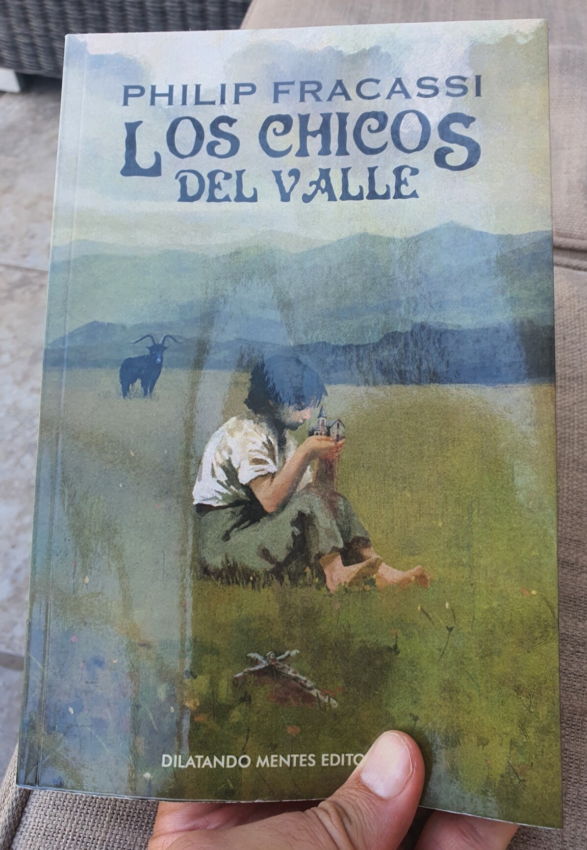 Libro: Los Chicos Del Valle. Fracassi, Philip. Dilatando Men