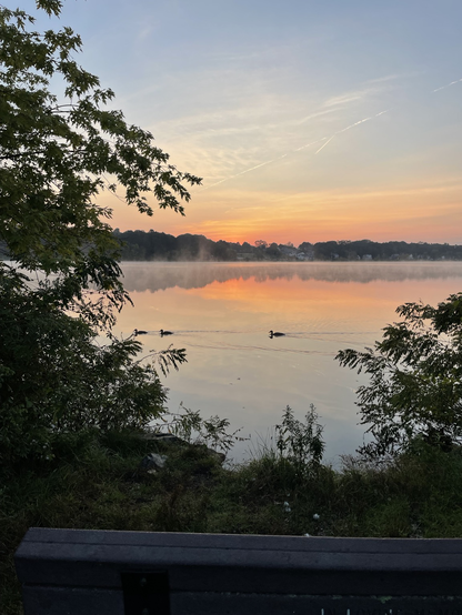 Sunrise at a local pond.