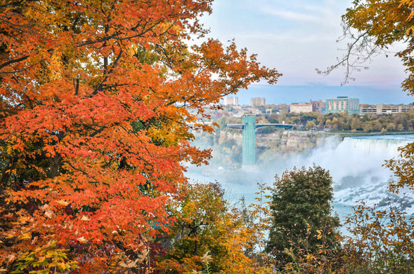 A peek at Niagra Falls through the beautiful color of Autumn in reds, oranges and blue.