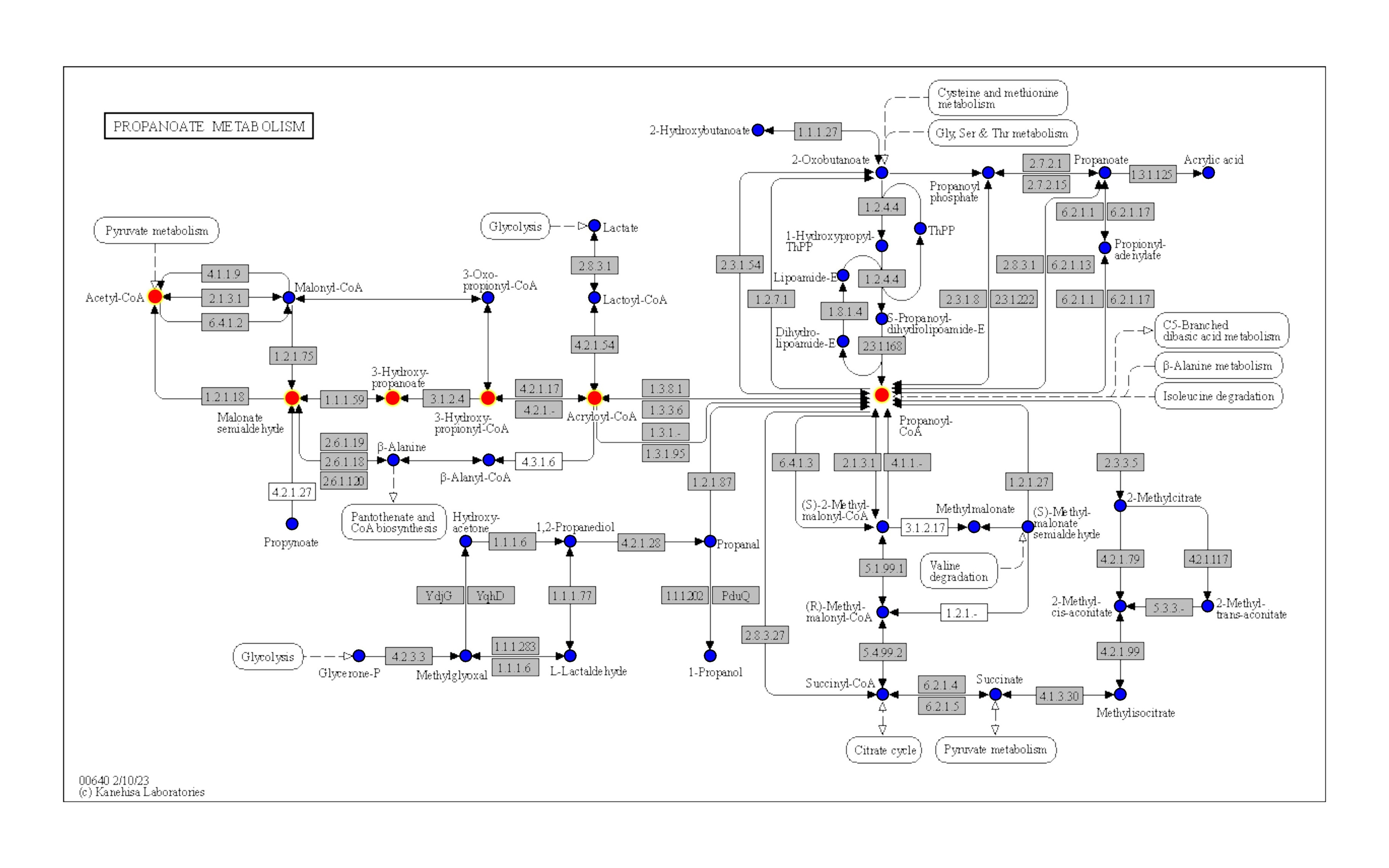adrian-sven-geissler-asgeissler-genomic-social-genomic-social