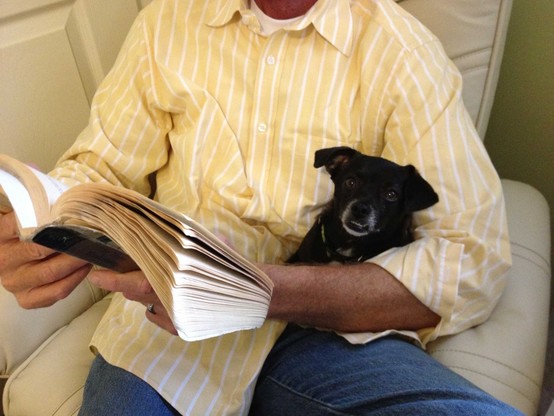 Photo of my husband sitting in our old white pleather chair, reading a paperback. He’s wearing jeans & a yellow & white button down shirt anf he’s cuddling with our chonky little black Chiweenie. They’re both comfy & happy.