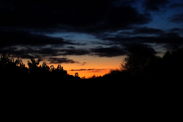 the dark blue sky turning orange near the horizon as the sun is about to rise on a cold January morning.
Dark clouds in the sky with the deep blue to orange colours peeking through, the silhouettes of trees in the forground contrasting against the orangee glow