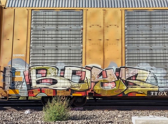 Train car with graffiti rolling through Kamloops BC Canada