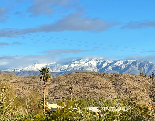 Wide landscape photo taken by my husband from our back patio; beautiful white snow covering the mountains around us with palm trees and desert plants, trees, scrub in the foreground