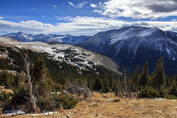 Photo from Rocky Mountain National Park, looking South from Trail Ridge Road at the Forest Canyon Overlook. Mountains in the distance are covered with some light snow. There’s blue sky with white clouds across the top. In the foreground at last is a clump of old trees, forming what’s called a krumholtz, with a bit of snow at the base. Tundra grass and lichens at the lower right. The mountain at the left margin is Longs Peak. The camera is located at the tree line, which at this location is arou…