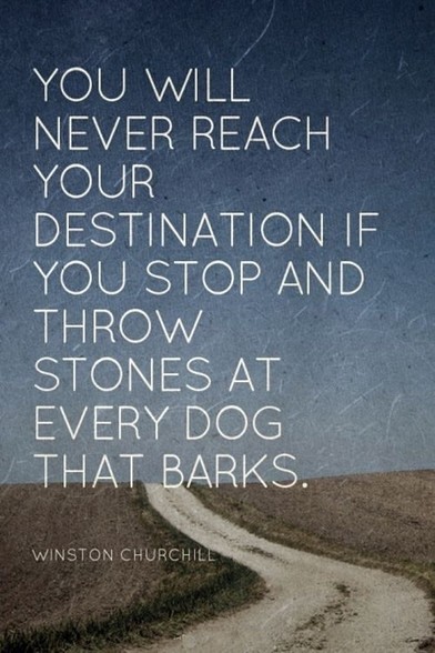 “YOU WILL NEVER REACH YOUR DESTINATION IF YOU STOP AND THROW STONES AT EVERY DOG THAT BARKS.”
—WINSTON CHURCHILL