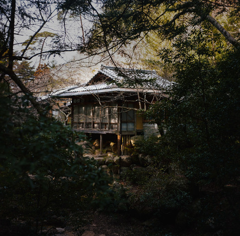 mamiya c220 // kodak portra 400