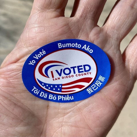 Photo of my palm with my oval red white & blue I VOTED SAN DIEGO COUNTY sticker 
