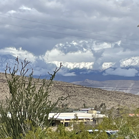 iPhone photo my husband took from our back patio this morning, with a big green ocotillo, desert flora, & a neighbor’s house in the foreground & dark blue mountains covered in snow in the background. The sky is dark & heavy, & there are all kinds of weirdly formed clouds above & below the peaks.