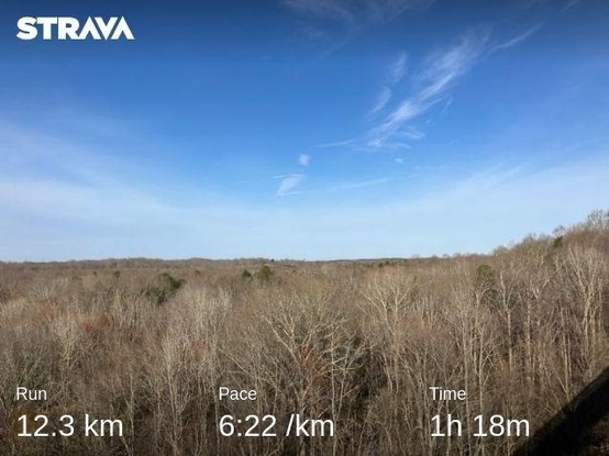 A landscape shot from the middle of a high bridge showing a leafless forest under a bright blue morning sky. My running stats are along the bottom: 12.3km in 1:18 for an average pace of 6:22/km